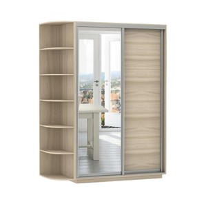 Шкаф 2-х дверный Экспресс (ДСП/Зеркало) со стеллажом 1500х600х2400, шимо светлый в Пскове