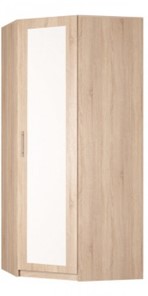 Угловой шкаф распашной Реал (YR-230х884 (9)-М Вар.1), с зеркалом в Пскове