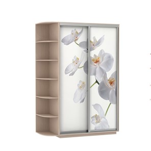 Шкаф 2-х дверный Экспресс 1700x600x2200, со стеллажом, Орхидея белая/дуб молочный в Пскове