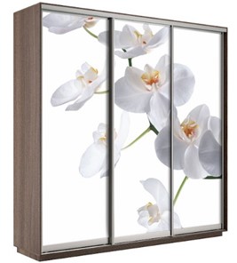 Шкаф 3-дверный Экспресс 2100х600х2200, Орхидея белая/шимо темный в Пскове