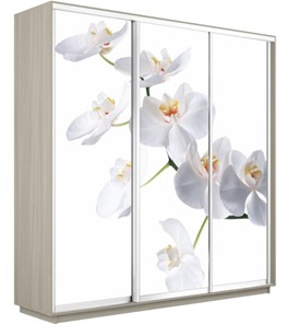 Шкаф 3-дверный Экспресс 2400х600х2200, Орхидея белая/шимо светлый в Пскове