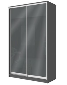 Шкаф-купе 2-х створчатый Хит-22-4-12/2-22 с цветным стеклом, темно-серый 073, Графит в Пскове