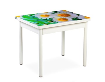 Кухонный пристенный стол СПА-01 СТФ, белый/фотопечать ромашки/опоры прямые белые в Пскове