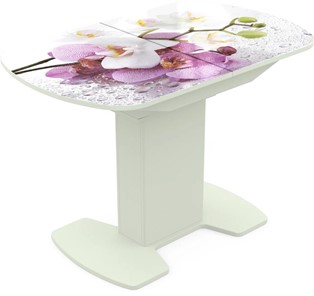 Кухонный раскладной стол Корсика исп. 1 Фотопечать (Цветы №44) 1100(1415)*700 в Пскове