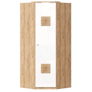 Шкаф угловой 45 с декоративной накладкой Фиджи, 659.248, белый в Пскове