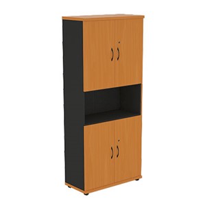 Шкаф для документов Моно-Люкс R5S22 в Пскове