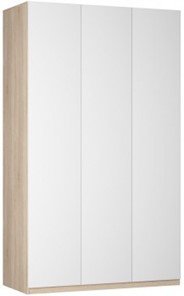 Шкаф 3-дверный Реал распашной (Push to open; R-198х135х45-1-PO), без зеркала в Пскове