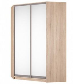 Угловой шкаф Аларти (YA-230х1400(602) (10) Вар. 5; двери D5+D5), с зеркалом в Пскове - предосмотр