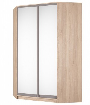 Угловой шкаф Аларти (YA-230х1400(602) (10) Вар. 5; двери D5+D5), с зеркалом в Пскове - изображение