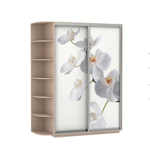 Шкаф 2-х створчатый Экспресс 1900x600x2200, со стеллажом, Орхидея белая/дуб молочный в Пскове
