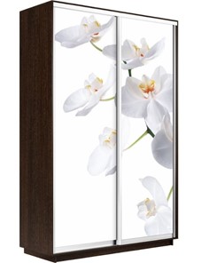 Шкаф Экспресс 1400x600x2400, Орхидея белая/венге в Пскове