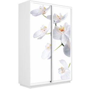 Шкаф 2-х створчатый Экспресс 1600x450x2400, Орхидея белая/белый снег в Пскове