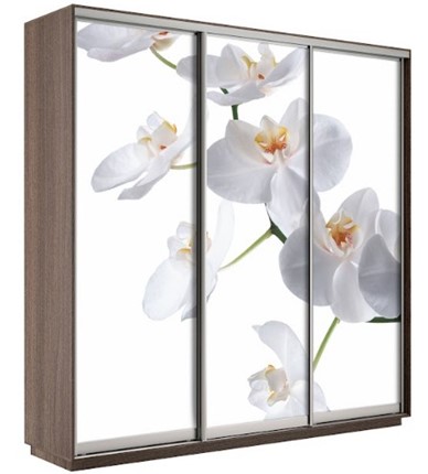 Шкаф трехдверный Экспресс 1800х600х2200, Орхидея бела/шимо темный в Пскове - изображение