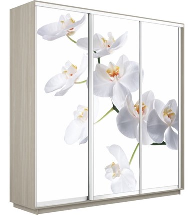 Шкаф 3-х дверный Экспресс 2400х600х2400, Орхидея белая/шимо светлый в Пскове - изображение