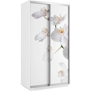 Шкаф Хит 1200x600x2200, белая орхидея, белый снег в Пскове