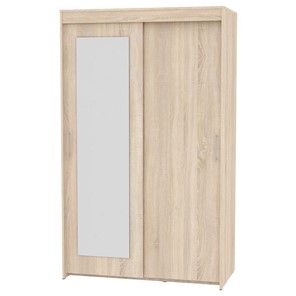 Шкаф 2-дверный Топ (T-1-230х120х45 (1)-М; Вар.1), с зеркалом в Пскове