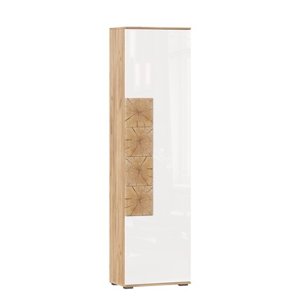 Шкаф одностворчатый Фиджи, 659300, белый/дуб золотой в Пскове - изображение