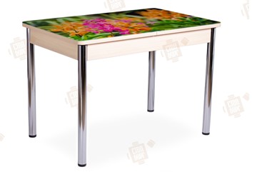 Кухонный стол раздвижной Айсберг-02 СТФ, Дуб ЛДСП/полевые цветы/ноги хром прямые в Пскове