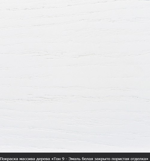 Стол раздвижной Фабрицио-1 исп. Круг 820, Тон 9 (Морилка/Эмаль) в Пскове - изображение 16