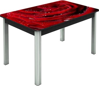 Кухонный раздвижной стол Гамбург исп. Мини, ноги метал. крашеные №23, Фотопечать (Цветы №39) в Пскове