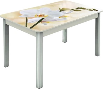 Обеденный раздвижной стол Гамбург исп.2 ноги метал. крашеные №23, Фотопечать (Цветы №5) в Пскове