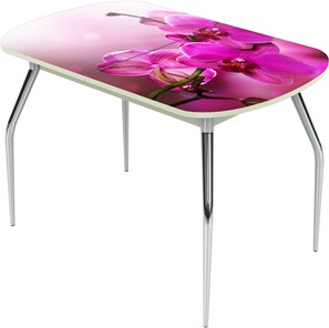 Кухонный стол раздвижной Ривьера исп.1 ноги метал. крашеные №24 Фотопечать (Цветы №16) в Пскове