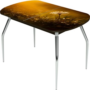 Кухонный стол раздвижной Ривьера исп.2 ноги метал. крашеные №24 Фотопечать (Цветы №43) в Пскове