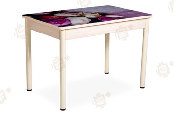 Кухонный стол раздвижной Айсберг-01 СТФ, дуб/фотопечать пионы/ноги крашеные в Пскове
