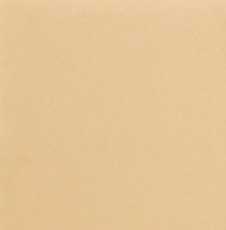 Стул Моника С105 (стандартная покраска) в Пскове - изображение 1