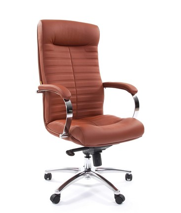 Компьютерное кресло CHAIRMAN 480 Экокожа Terra 111 (коричневая) в Пскове - изображение