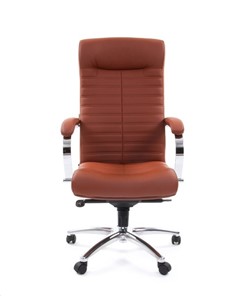 Компьютерное кресло CHAIRMAN 480 Экокожа Terra 111 (коричневая) в Пскове - предосмотр 1