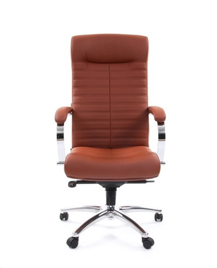 Компьютерное кресло CHAIRMAN 480 Экокожа Terra 111 (коричневая) в Пскове - изображение 1
