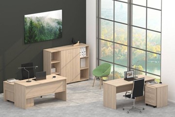 Комплект офисной мебели Twin в Пскове - предосмотр 4