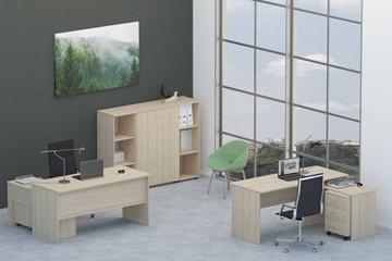 Набор мебели в офис Twin для 2 сотрудников со шкафом для документов в Пскове - предосмотр