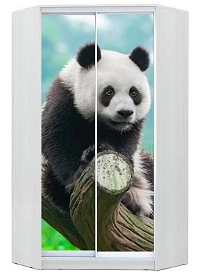 Угловой детский шкаф Хит-У-24-4-77-29, Панда, Белый в Пскове - изображение