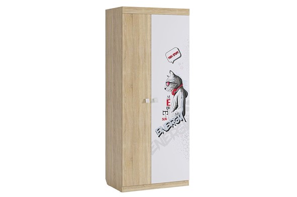 Распашной шкаф Энерджи, двухстворчатый в Пскове - изображение