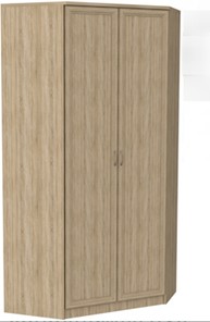 Шкаф распашной 403 несимметричный, цвет Дуб Сонома в Пскове - предосмотр