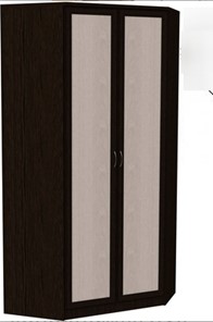 Шкаф 403 несимметричный, цвет Венге в Пскове - предосмотр