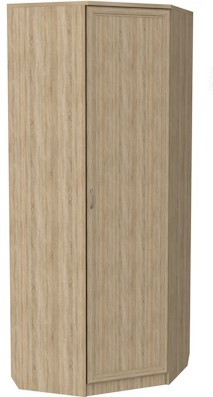 Шкаф распашной 400 угловой, цвет Дуб Сонома в Пскове - изображение