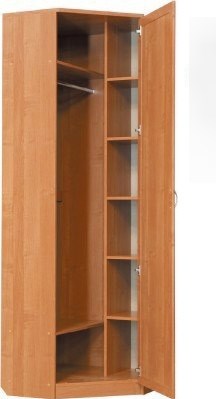 Шкаф распашной 402 угловой со штангой, цвет Дуб Сонома в Пскове - изображение 1