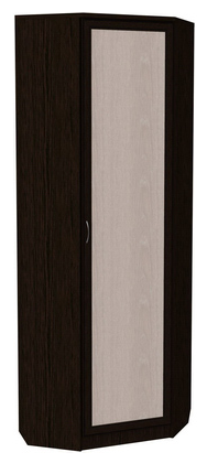 Шкаф 402 угловой со штангой, цвет Венге в Пскове - изображение