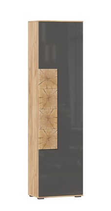 Шкаф одностворчатый Фиджи с декоративными накладками 659.300, Дуб Золотой/Антрацит в Пскове - изображение