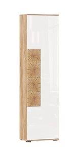 Шкаф одностворчатый Фиджи с декоративными накладками 659.300, Дуб Золотой/Белый в Пскове