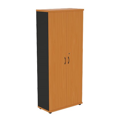 Шкаф 2-створчатый Моно-Люкс R5S05 в Пскове - изображение