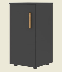 Шкаф колонна низкий с глухой левой дверью FORTA Черный Графит FLC 40.1 (L) (399х404х801) в Пскове