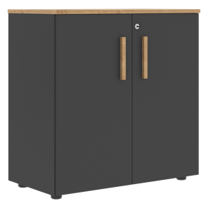 Низкий шкаф с малыми дверцами широкий FORTA Графит-Дуб Гамильтон  FLC 80.1(Z) (798х404х801) в Пскове