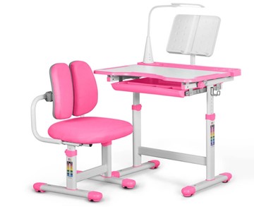 Комплект из растущего стола и кресла Mealux EVO BD-23 Pink в Пскове